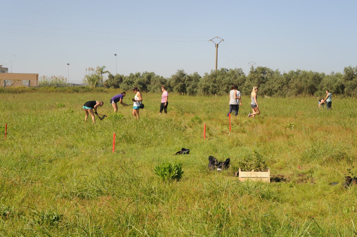 Un bosco in Paradiso-Spring Hill Collage di Bologna