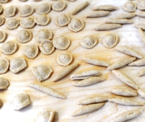 quinta settimana centro estivo 2014