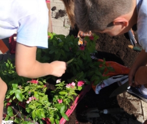 quinta settimana centro estivo 2014