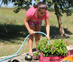 quinta settimana centro estivo 2014