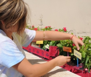 quinta settimana centro estivo 2014