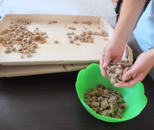 quinta settimana centro estivo 2014