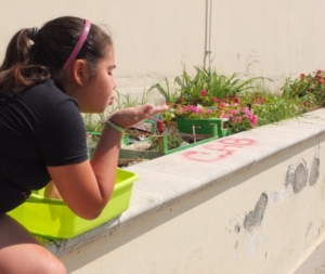 quinta settimana centro estivo 2014