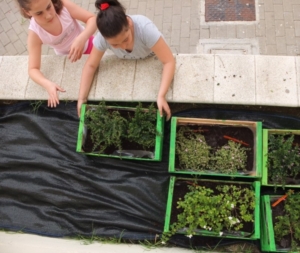 prima settimana centro estivo 2014