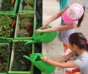 prima settimana centro estivo 2014