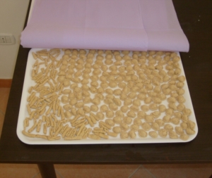 Centro Estivo Perrino prima settimana