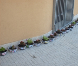 Centro Estivo Perrino prima settimana