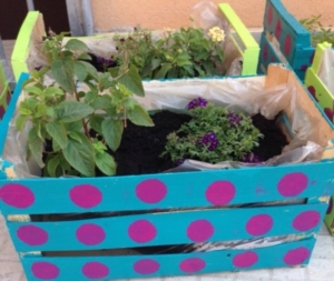 Centro Estivo Perrino seconda settimana