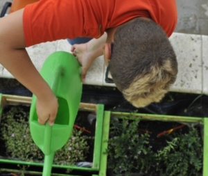 prima settimana centro estivo 2014