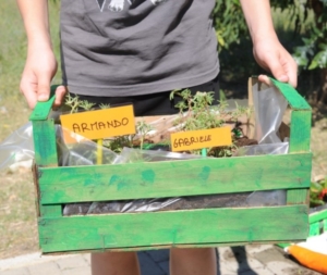 terza settimana centro estivo 2014